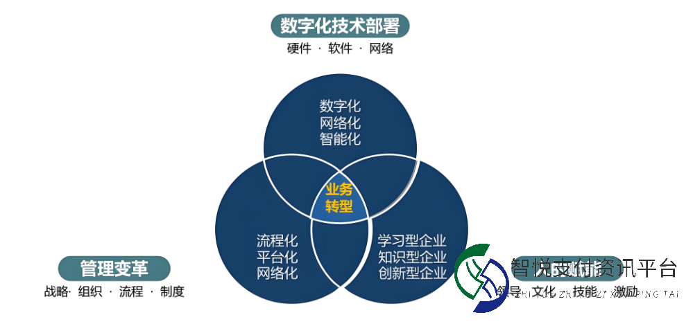 企业创新的多维度探索与实践确保创新成果能够转化为实际效益